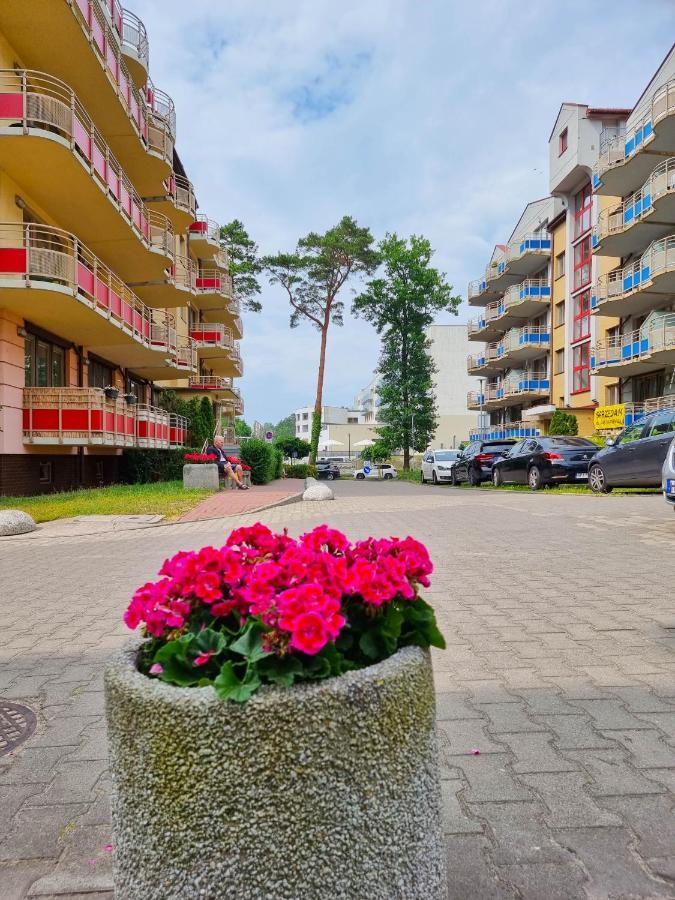 Visit Baltic - Mewa * Świnoujście